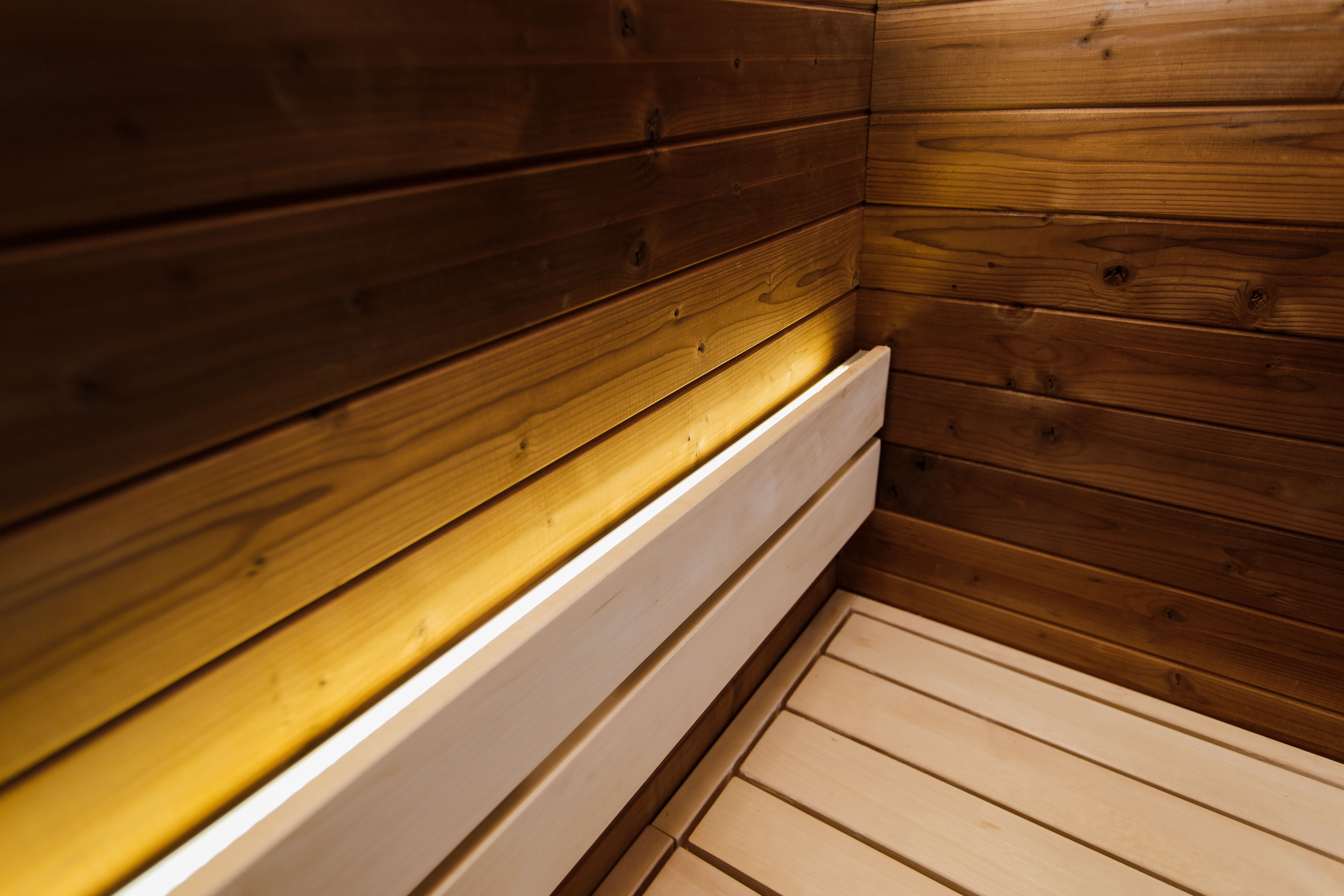 Thermohouten sauna met kleedruimte – 245 × 340 cm